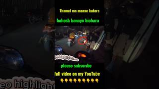 🔥Thamel ma manxe kutera behosh banayo viralsong motovlog pathaorider viralvideo viralvideos [upl. by Oek]