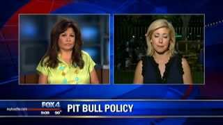 Pit bull policy at new Dallas dog park [upl. by Enilesoj]