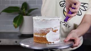 How to Crumb Coat a Cake in 2 Minutes  Buttercream Tutorial with Sheri Wilson [upl. by Danziger817]