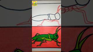 How to draw a Grasshopper easy drawing grasshopper drawing viralvideo easydrawing shorts [upl. by Celestina]