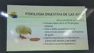 Fisiología  Fisiología Digestiva Aves y Rumiantes [upl. by Eelime]