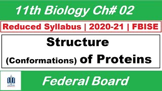 Structural Conformations of Proteins Class 11 Biology Ch2 Ilmi Stars Academy [upl. by Alhahs264]