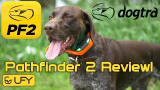 Dogtra Pathfinder 2 Detailed Review  First Impressions  App Overview [upl. by Kcirdez]