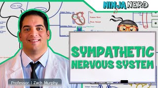 Neurology  Sympathetic Nervous System [upl. by Duggan]