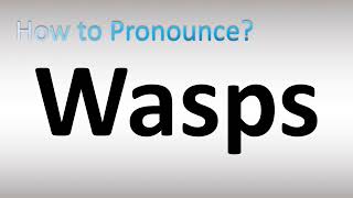 How to Pronounce Wasps [upl. by Anelrad110]