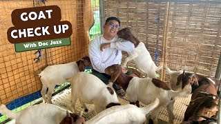 Goat Check Up and Hemosep Vaccination with Doc Jazz  Vlog 22 [upl. by Reckford41]