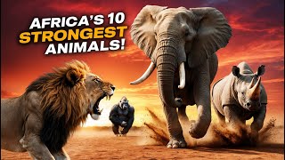 Africa’s 10 Strongest Animals in Action Nature’s Titans [upl. by Anawahs]