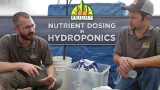 Nutrient Dosing in Hydroponics Systems [upl. by Tunk]