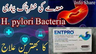 H Pylori Bacteria and other Stomach Problems ka mukammal Elaj Urdu  hindi [upl. by Suilenroc]