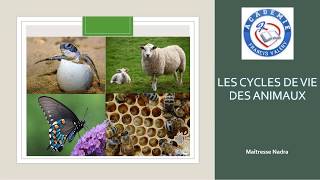 Létrange durée de vie des animaux  Ver de terre 8 ans sérieux [upl. by Uchish]