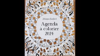 Agenda 2024  Johanna Basford [upl. by Atnuahsal]