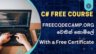 C Free Course by freecodecamp  Review by Dev School [upl. by Kenwood177]