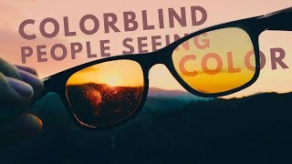 Colorblind people seeing color for the first time Enchroma Glasses Compilation [upl. by Anez]