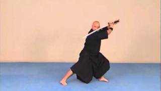 Cours de katana  Exercices dentrainement [upl. by Gentes331]