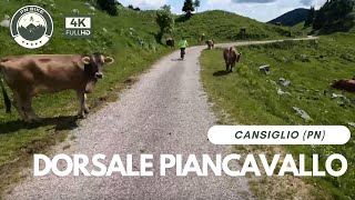 Dorsale Piancavallo  Cansiglio  Caneva  MTB 4K [upl. by Ioves678]