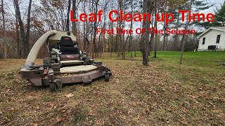 Leaf Clean up Time First One Of The Season [upl. by Aligna]