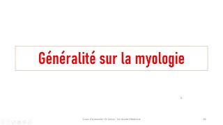 Généralité sur la myologie [upl. by Reinald149]