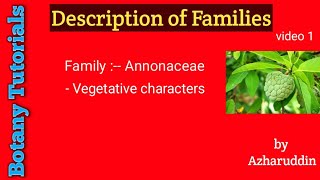 Annonaceae family vegetative characterspart1 [upl. by Euginomod930]