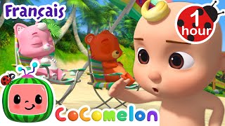 La plage cest merveilleux  Chansons pour Bébés  CoComelon Le coin des Animaux de JJ  Comptines [upl. by Ahsilahs]