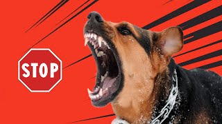 Stop Dogs Barking High Frequency [upl. by Aicenek]