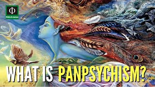 What is Panpsychism [upl. by Kehoe]