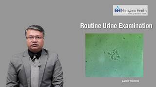 Diagnosis amp Treatment of Foamy Urine  Dr Vikas Jain [upl. by Bil]