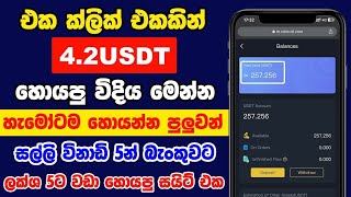 විනාඩි පහකින් රුපියල් 30000ක්  Online Job At Home  E money sinhala [upl. by Aneeras]