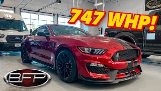 Whipple Supercharged Shelby GT350 Makes 747 WHP  Beechmont Ford Performance [upl. by Eidoj536]