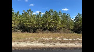 Residential for sale  16307 Ridge Oak Road Willis TX 77378 [upl. by Kreis]