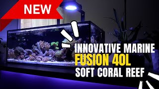 Innovative Marine 40L  A First Look At My Latest Upgrade [upl. by Silirama]