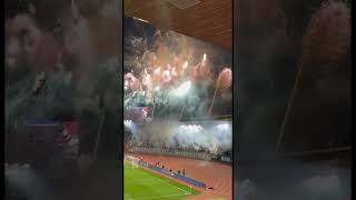 ZÜRCHER SÜDKKURVE PYROSHOW🤯 ultras fireworks pyros footballfans switzerland fczürich fcz [upl. by Aneladgam792]