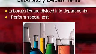 Major Departments in Phlebotomy [upl. by Werra]