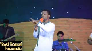 YOSEF SAMUEL NEW HADIYEGNA MEZMUR ሄኦሙላ [upl. by Paymar]