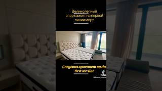 Gorgeous apartment at the sea bulgaria property realestate fypシ゚viral [upl. by Eirlav]