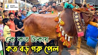 কার গরুর দাম কত কেমন হয়েছে জানতে ভিডিওটি দেখুন গাবতলী গরুর হাট ২০২৪ [upl. by Anders]