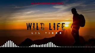 Lil Tiger Wild Life [upl. by Enomes474]