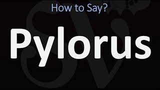 How to Pronounce Pylorus CORRECTLY [upl. by Janenna636]