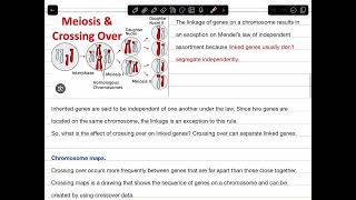 Lesson 2 genetic recombination and gene linkage [upl. by Adnawyek]