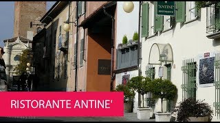 RISTORANTE ANTINE  ITALY BARBARESCO [upl. by Enavi]