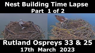 Osprey Builds its Nest  Part 1  2023 [upl. by Bauer]