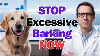 STOP Excessive Barking NOW with This Proven Method [upl. by Malcolm804]