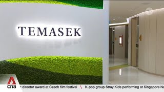 Temasek reports net portfolio value of 389b up 7b from last year [upl. by Eugor649]