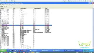 M06 Trojans  TcpView [upl. by Browne389]