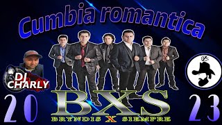 BRINDIS X SIEMPRE MIX 2023 DJ CHARLY PzS [upl. by Nylg738]