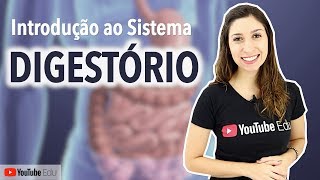 Sistema Digestório 15 Introdução Funções Órgãos e Histologia  Anatomia e etc [upl. by Eenerb577]