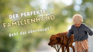 Der perfekte Familienhund Worauf Du achten musst damit es klappt [upl. by Yekcir]