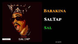 Barakina  Sal AUDIO [upl. by Ainslie507]