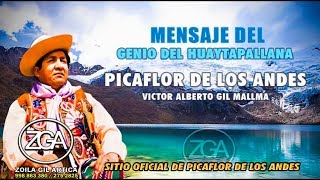 Picaflor de los Andes  Mensaje sobre sus mejores éxitos [upl. by Ahsiam908]