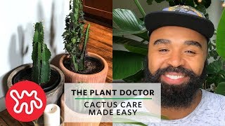 Cactus Care Made Easy  The Plant Doctor [upl. by Wendi]