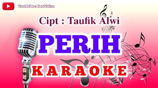 KARAOKE LAGU PERIH  Elvy Sukaesih [upl. by Harlie]